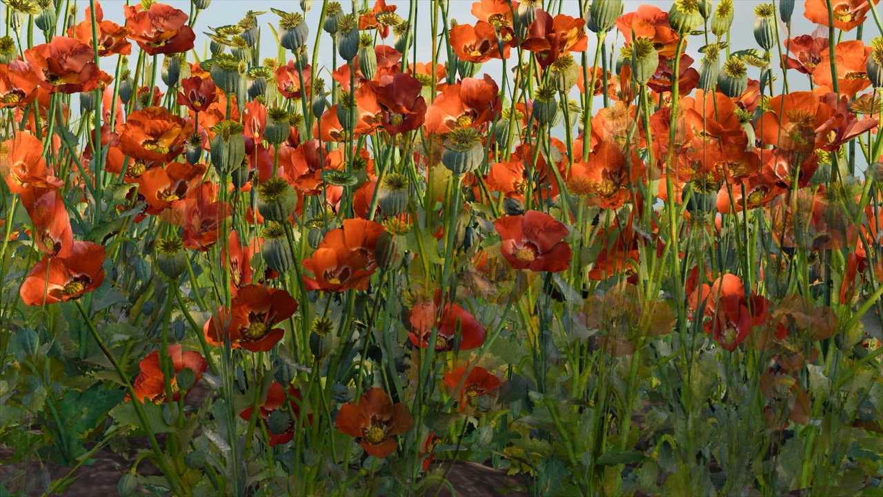 Studies on Breaking Immersion